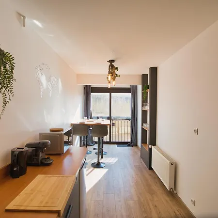 Apartment Baignoire Balneo Annecy